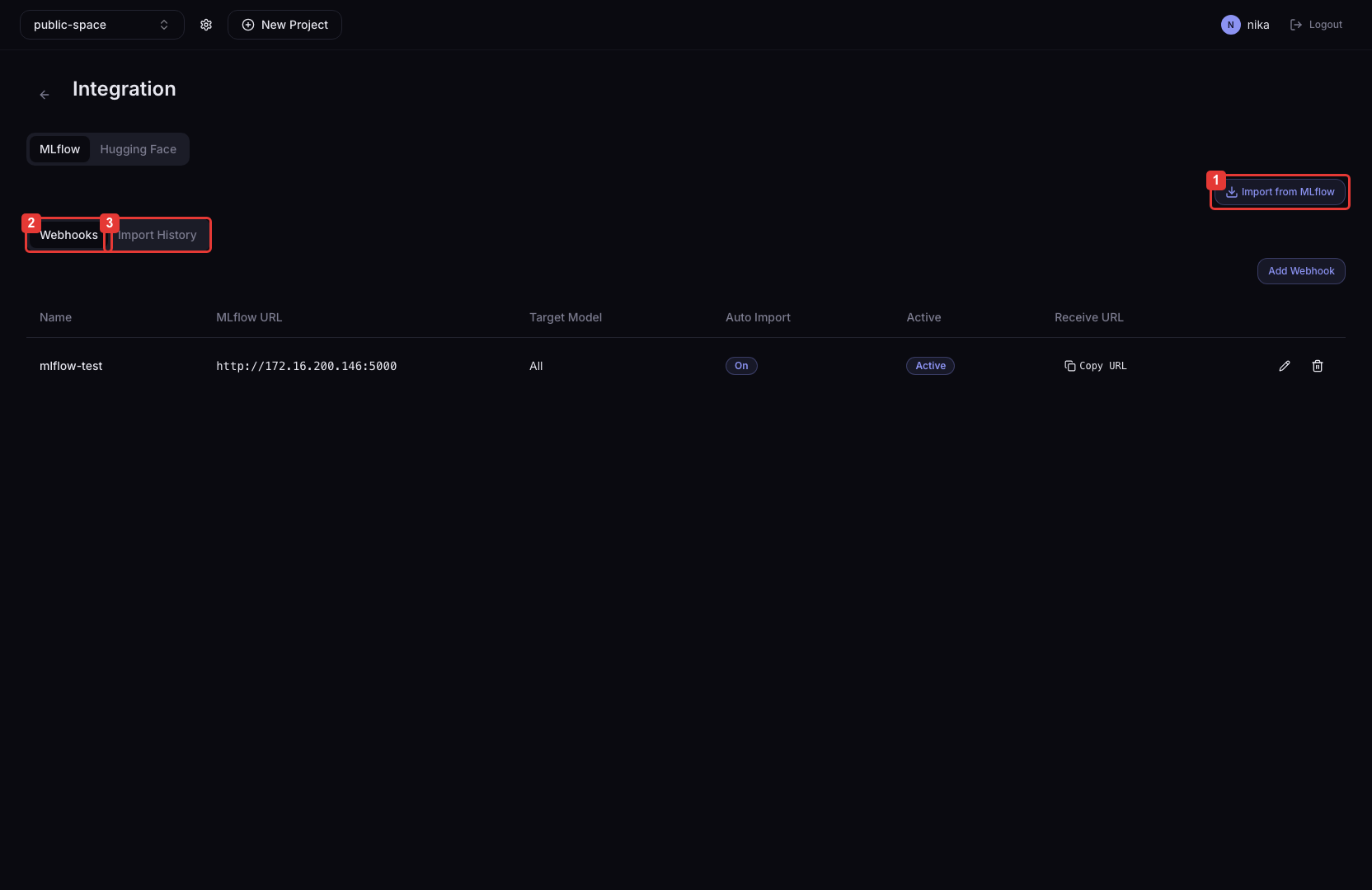 MLflow Integration